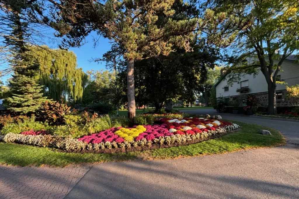 Fall flowers and trees at Edwards Gardens