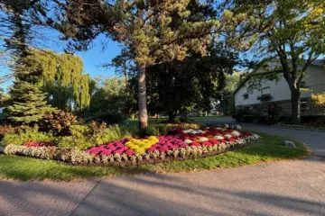 Fall flowers and trees at Edwards Gardens