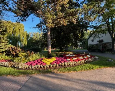 Fall flowers and trees at Edwards Gardens