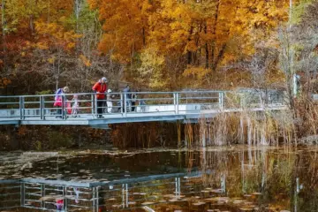 People crossing a bridge beside autumn trees at Evergreen Brick Works