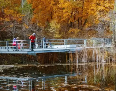 People crossing a bridge beside autumn trees at Evergreen Brick Works