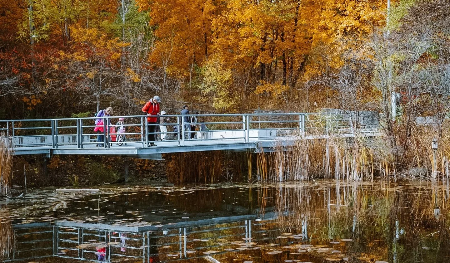 People crossing a bridge beside autumn trees at Evergreen Brick Works
