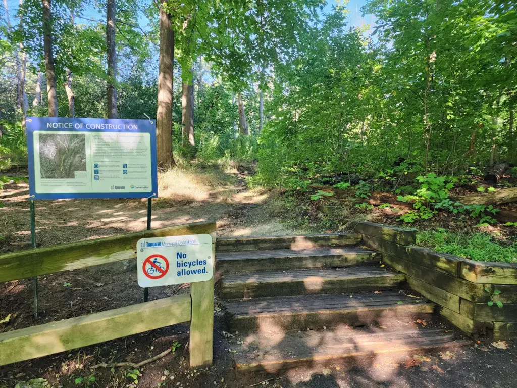 New steps and trail signs in Lambton Woods