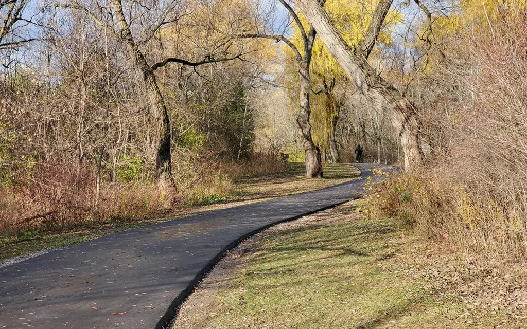Smooth asphalt path winding through the trees of Taylor Creek Park