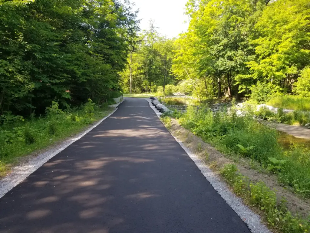 Paved trail beside Wilket Creek after restoration work in 2019