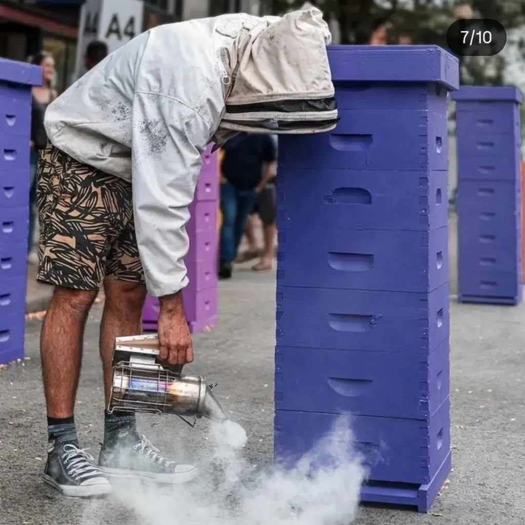 A person in a beekeeper suit using a smoker beside a purple hive