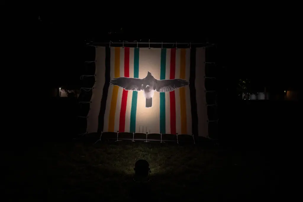A striped blanket with a bird image displayed at night