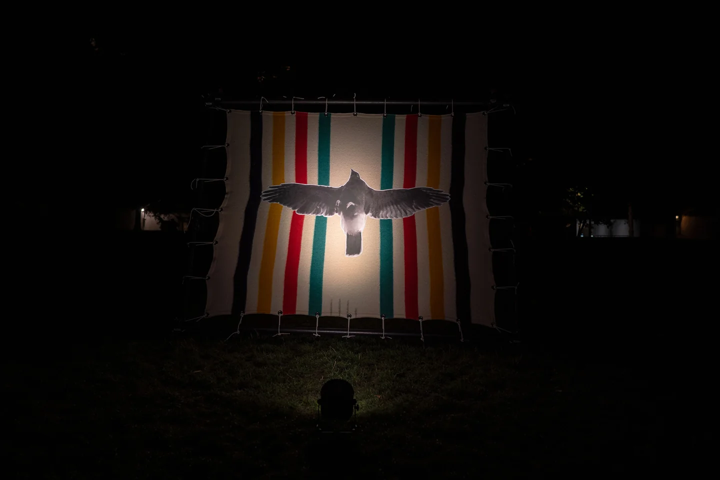 A striped blanket with a bird image displayed at night