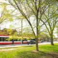 A TTC streetcar passing trees beside a Toronto park.