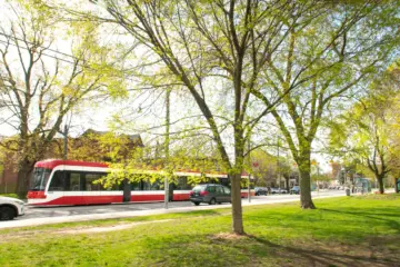 A TTC streetcar passing trees beside a Toronto park.