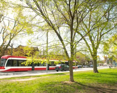 A TTC streetcar passing trees beside a Toronto park.