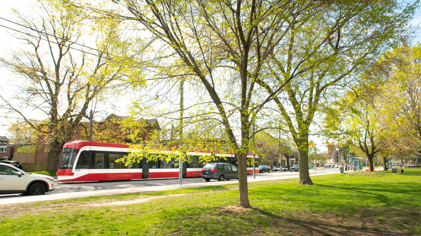 A TTC streetcar passing trees beside a Toronto park.