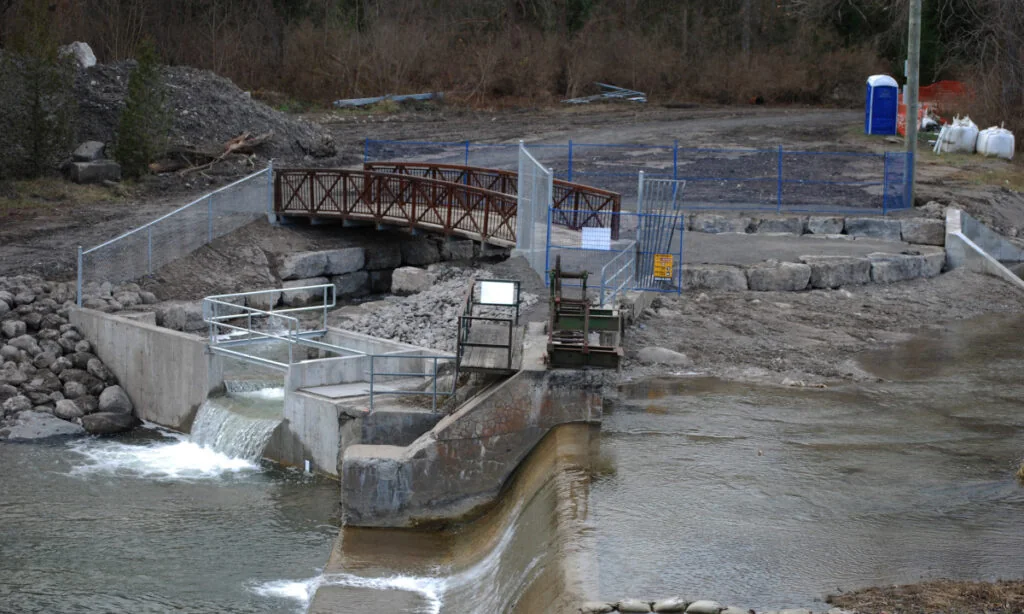 Fish bypass channel and bridge at Bowmanville Creek
