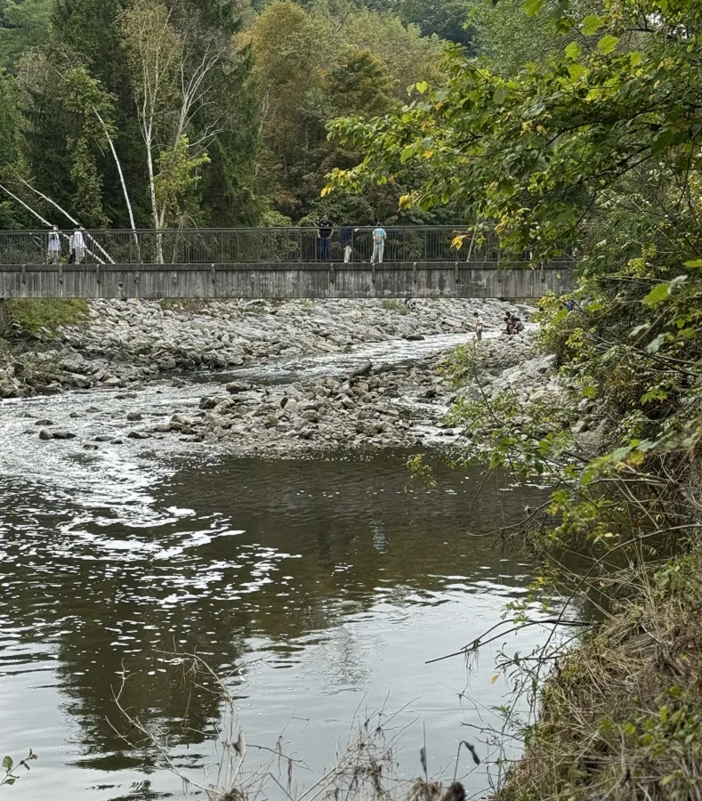 Highland Creek below a pedestrian bridge during a TRCA salmon walk