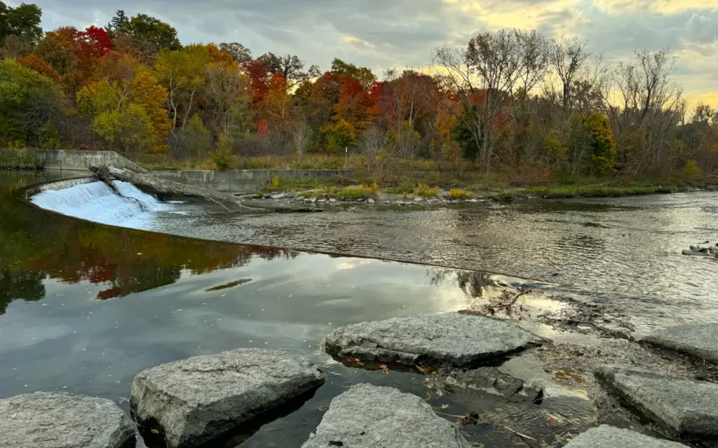 Humber River at Raymore Park