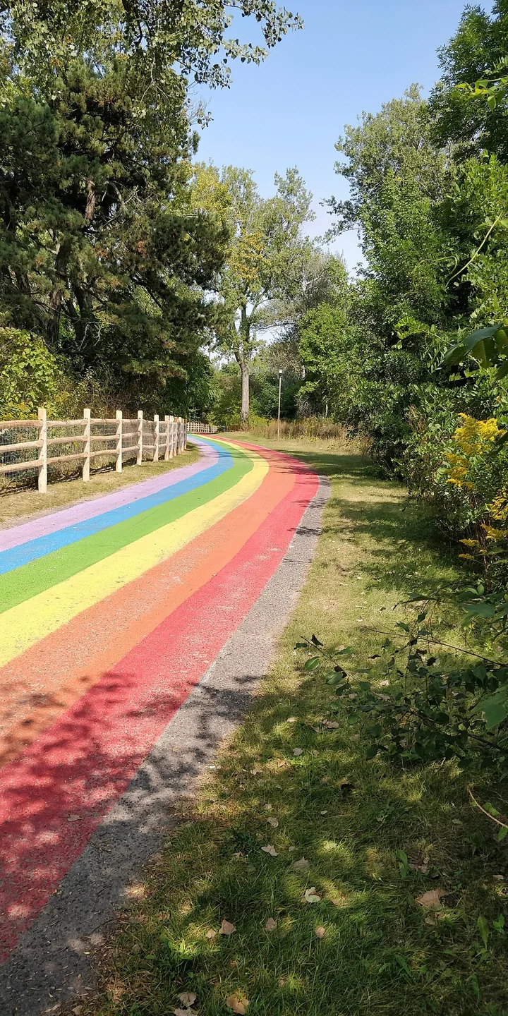 Rainbow artwork along Beach Road beside Hanlan’s Point Beach