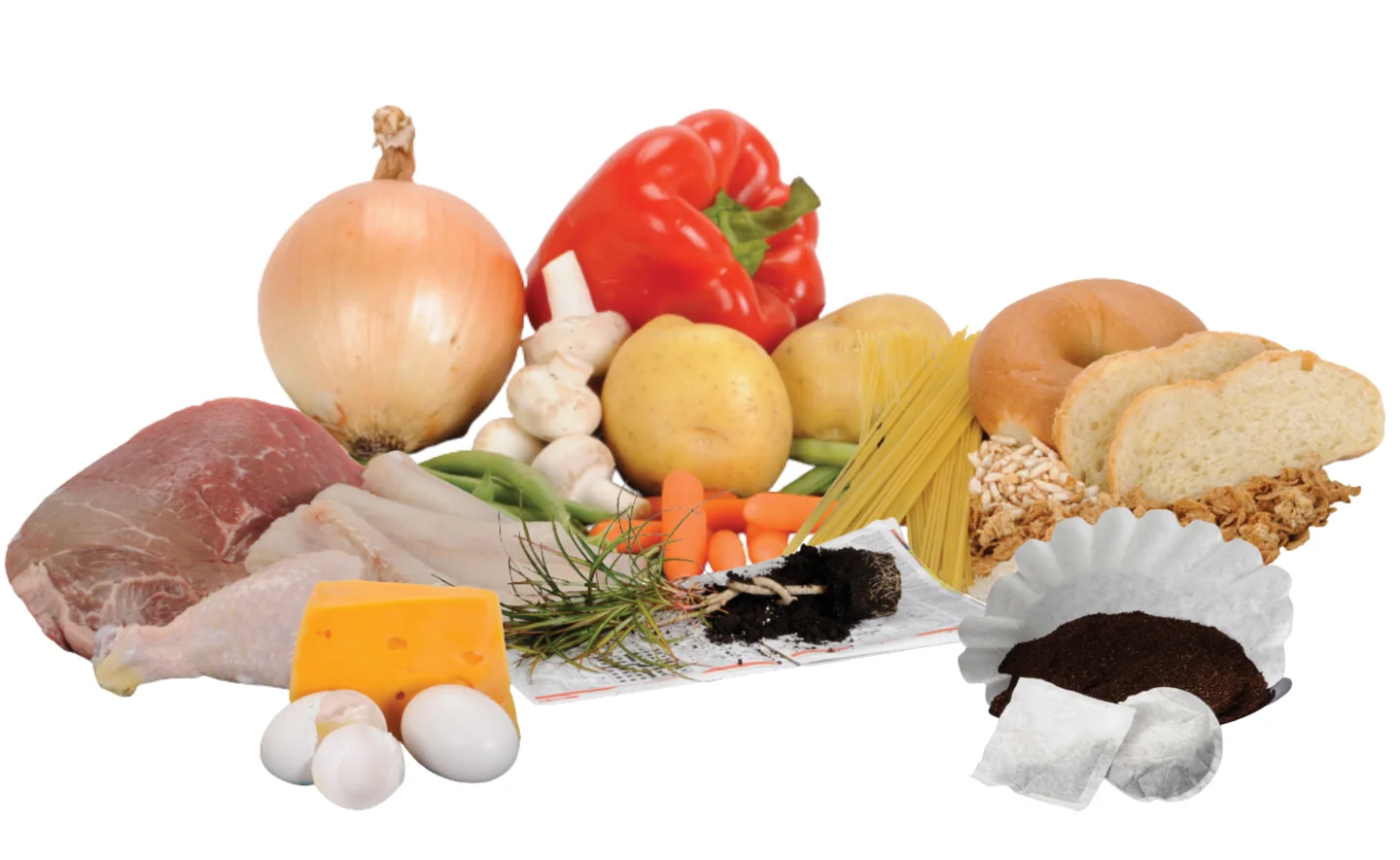 City photo guide showing food scraps including produce, bread, coffee grounds and eggshells