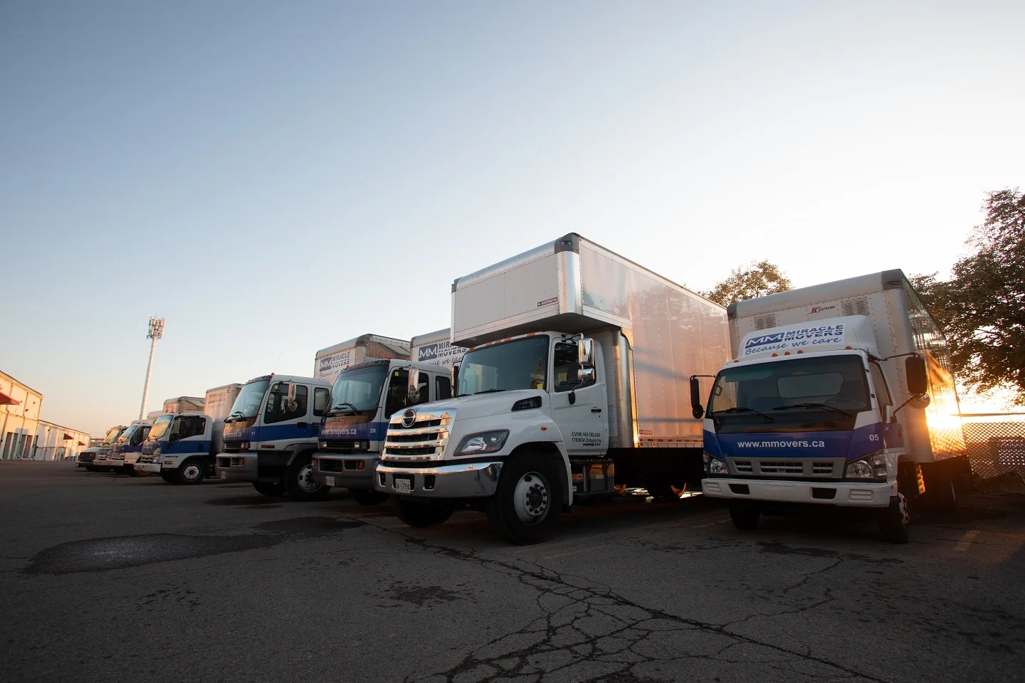 Several Miracle Movers trucks are parked together