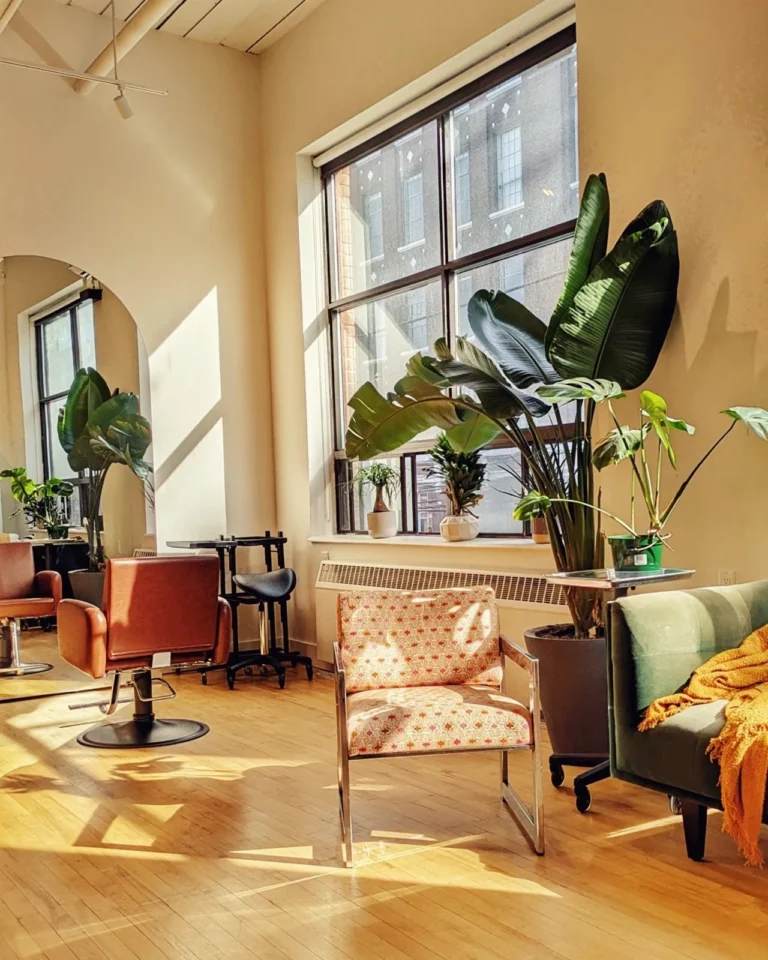 Sunlight falls across salon chairs and plants at Kismet.