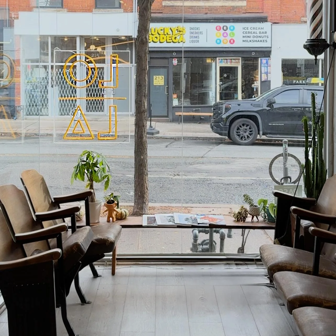 Brown chairs and plants beside the window at Lola on Ossington.