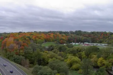 Wooded trail through Crothers Woods in Toronto's Don Valley