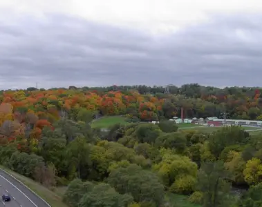 Wooded trail through Crothers Woods in Toronto's Don Valley