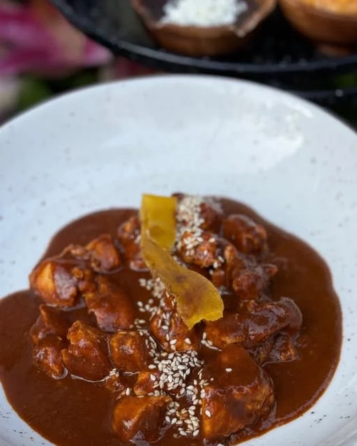 A sauced dish with toppings in a white bowl at XOLA