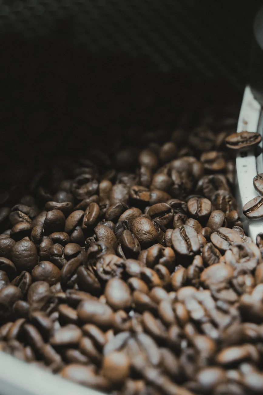 Coffee equipment at Terminal 3 Roasters