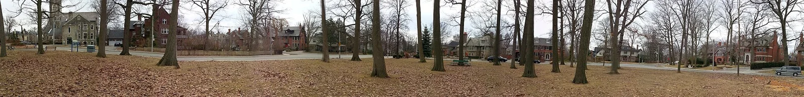 Trees and homes in Rosedale