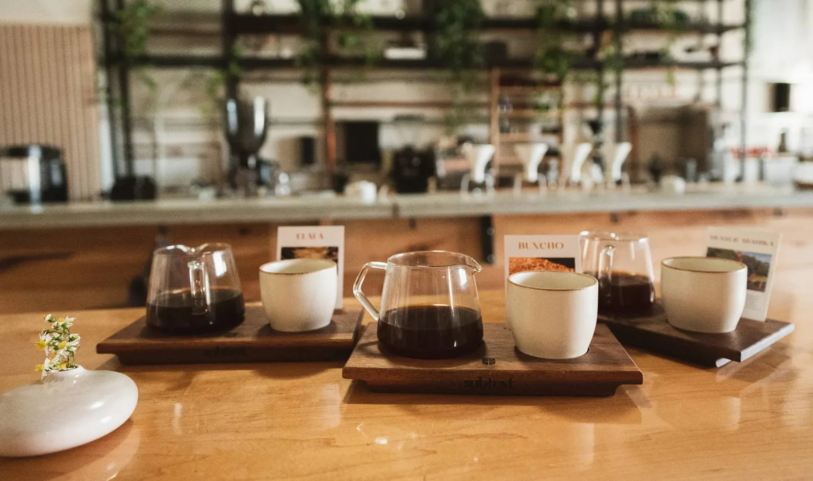 Carafes and cups of filter coffee on trays at Subtext’s brew bar