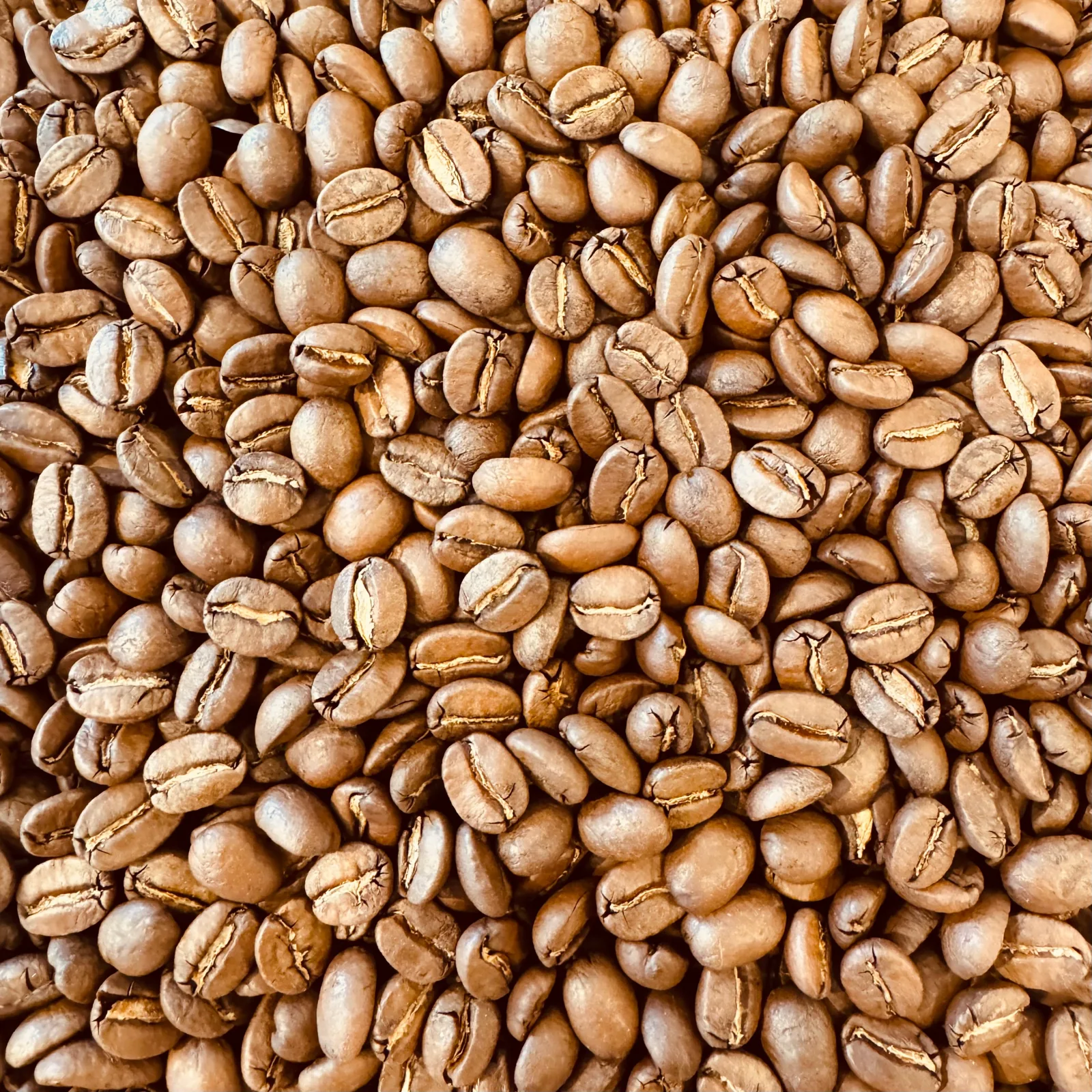 Close-up of roasted coffee beans