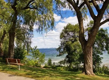 A bench under trees beside Lake Ontario at Jack Darling Memorial Park