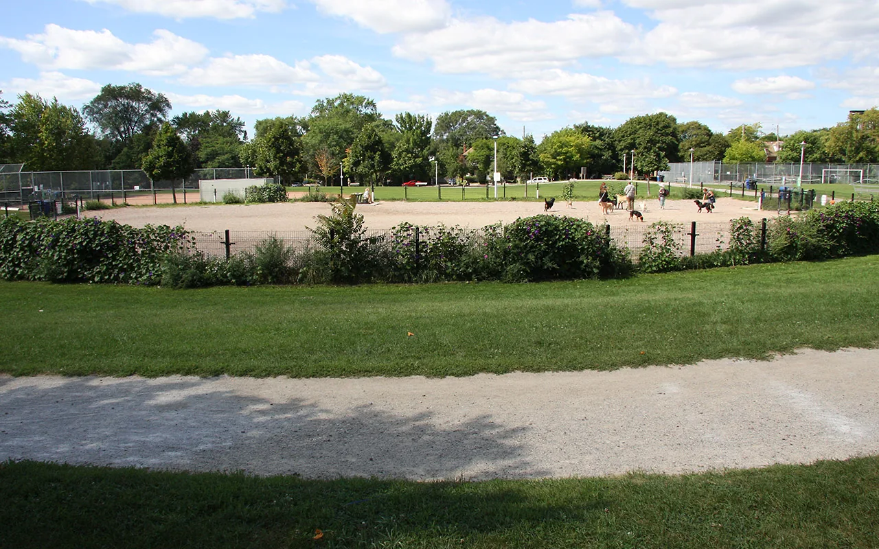 Fenced dog area with owners and dogs at Sorauren Avenue Park