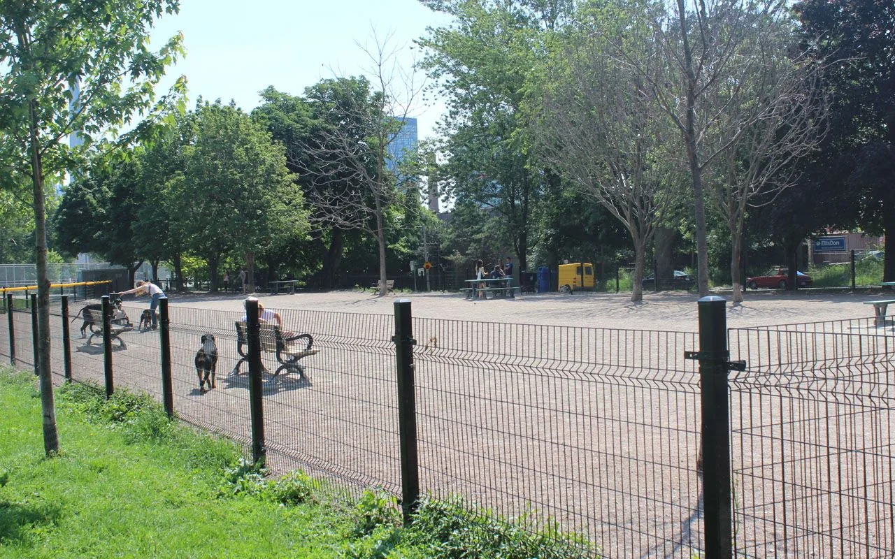 Wire fence, benches and dog run at Stanley Park South