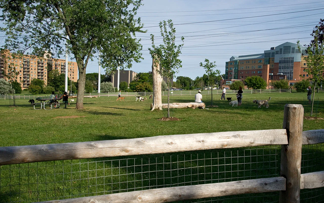 Dogs and people inside a fenced grassy run at Thomson Memorial Park
