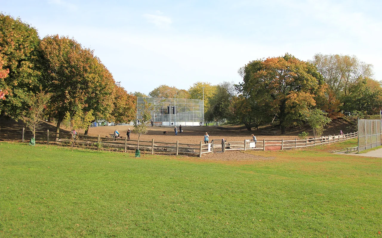Fenced off-leash area in Withrow Park below a grassy slope