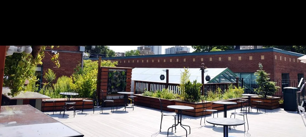 Tables and benches on a planted outdoor plaza on the Danforth