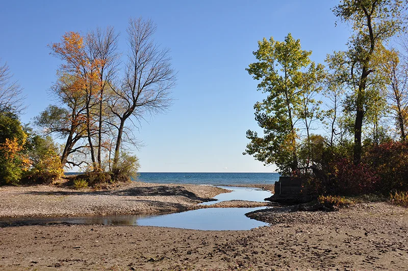The shoreline at Rattray Marsh in the park operator’s archive photograph