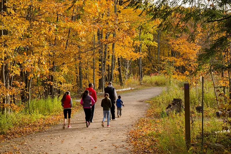 Visitors on a fall trail at Terra Cotta in the park operator’s archive photograph